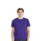 Hanes Ethical OEKO-TEX Certified Essential Crewneck Short Sleeves Tee For Everyday Wear